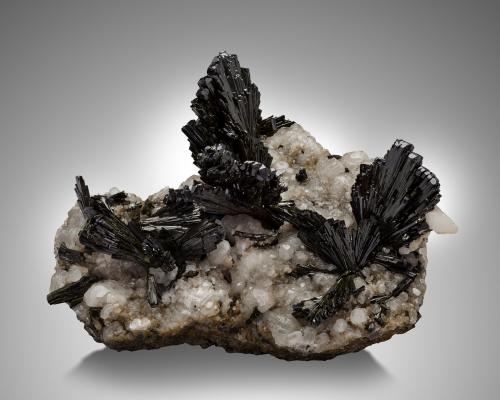 Epidote on Calcite<br />Pampa Blanca, Ticrapo District, Castrovirreyna Province, Huancavelica Department, Peru<br />24 x 19 x 12 cm / main crystal: 6.4 cm<br /> (Author: MIM Museum)