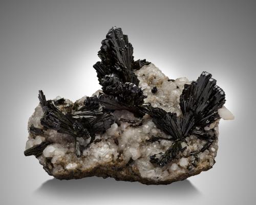 Epidote on Calcite<br />Pampa Blanca, Distrito Ticrapo, Provincia Castrovirreyna, Departamento Huancavelica, Perú<br />24 x 19 x 12 cm / main crystal: 6.4 cm<br /> (Author: MIM Museum)