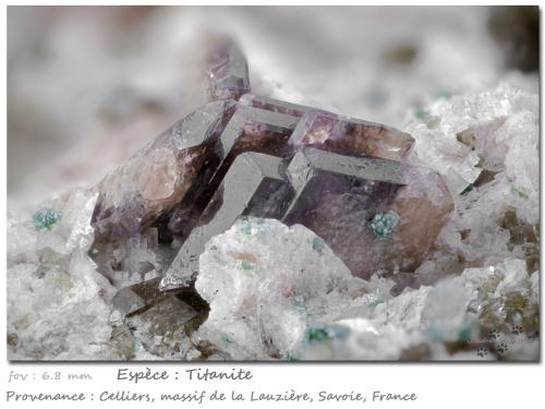 Titanite<br />Celliers, Macizo La Lauzière, Saint-Jean-de-Maurienne, Saboya, Auvergne-Rhône-Alpes, Francia<br />fov 6.8 mm<br /> (Author: ploum)