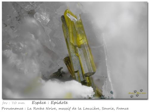 Epidote<br />Roche Noire, La Lauzière Massif, Saint-Jean-de-Maurienne, Savoie, Auvergne-Rhône-Alpes, France<br />fov 7.0 mm<br /> (Author: ploum)