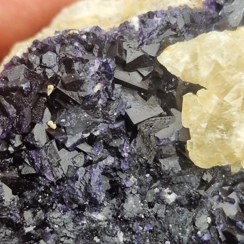Fluorite<br />Castleton, High Peak District, Derbyshire, England / United Kingdom<br />70cm x 70cmm<br /> (Author: Forrestblyth)