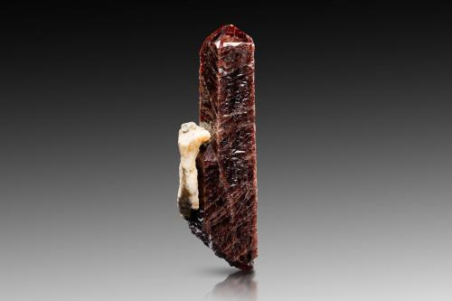 Zircón [Zircon]<br />Pare Mountains, Same District, Kilimanjaro Region, Tanzania<br />4.5 x 4.5 x 14 cm / cristal principal: 13.7 cm<br /> (Autor: Museo MIM)