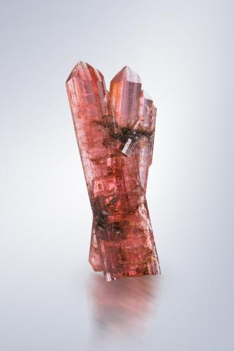 Väyrynenita<br />Shengus (Shingus), Distrito Baltistán, Gilgit-Baltistan (Áreas del Norte), Paquistán<br />1.5 x 0.5 x 4.5 cm / cristal principal: 4.1 cm<br /> (Autor: Museo MIM)