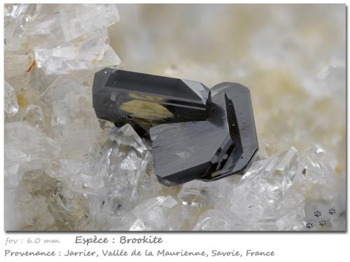 Brookite<br />Jarrier, Saint-Jean-de-Maurienne, Savoie, Auvergne-Rhône-Alpes, France<br />fov 6.0 mm<br /> (Author: ploum)