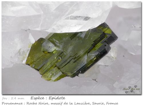 Epidote<br />Roche Noire, Macizo La Lauzière, Saint-Jean-de-Maurienne, Saboya, Auvergne-Rhône-Alpes, Francia<br />fov 5.4 mm<br /> (Author: ploum)