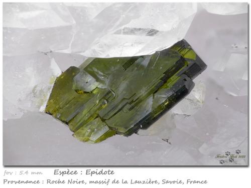 Epidote<br />Roche Noire, La Lauzière Massif, Saint-Jean-de-Maurienne, Savoie, Auvergne-Rhône-Alpes, France<br />fov 5.4 mm<br /> (Author: ploum)