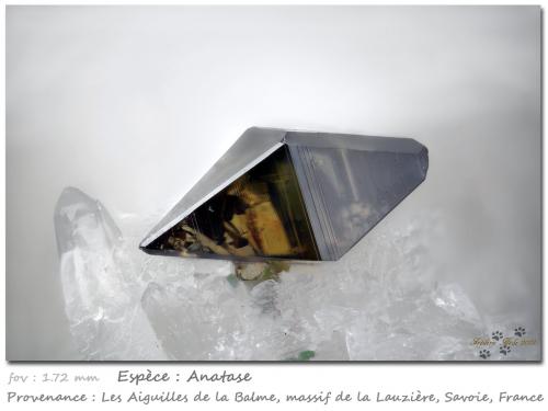 Anatase<br />Les Aiguilles de la Balme, Macizo La Lauzière, Saint-Jean-de-Maurienne, Saboya, Auvergne-Rhône-Alpes, Francia<br />fov 1.72 mm<br /> (Author: ploum)