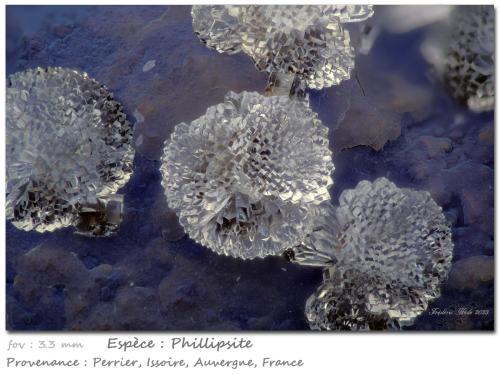 Phillipsite<br />Roca-Neyra, Perrier, Distrito Issoire, Departamento Puy-de-Dôme, Auvergne-Rhône-Alpes, Francia<br />fov 3.3 mm<br /> (Author: ploum)