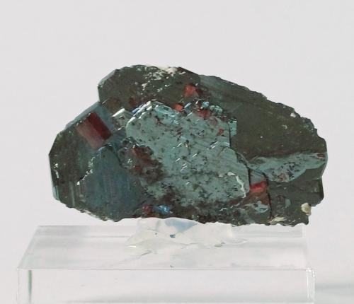 Hematite and Rutile<br />Cavradi, Curnera Valley, Tujetsch (Tavetsch), Vorderrhein Valley, Grischun (Grisons; Graubünden), Switzerland<br />40mm x 25mm x 5mm<br /> (Author: Philippe Durand)