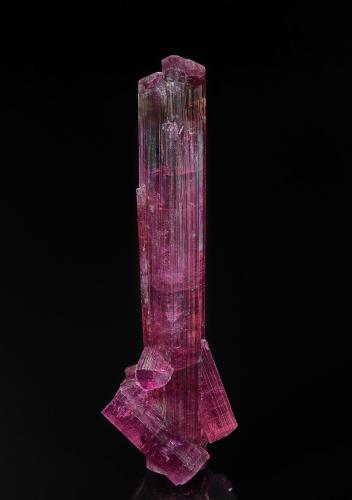 Elbaite (variety rubellite)<br />Jonas pocket, Itatiaia, Conselheiro Pena, Vale do Rio Doce, Minas Gerais, Brazil<br />7.7 x 2.5 cm<br /> (Author: am mizunaka)