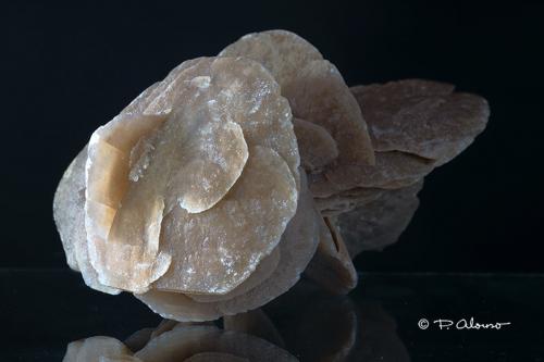 Yeso<br />Tunisia<br />13 cm largo x 7 cm alto x 8 cm ancho<br /> (Autor: Pere Alonso)