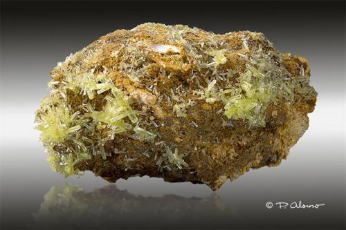 Piromorfita<br />China<br />4 cm largo x 2 cm alto.<br /> (Autor: Pere Alonso)