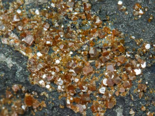 Pucherita, Bismuto<br />Pozo Pucher, zona minera Wolfgang Maaßen, Distrito Schneeberg, Erzgebirgskreis, Sajonia/Sachsen, Alemania<br />Campo de visión 1 cm.<br /> (Autor: Antonio P. López)