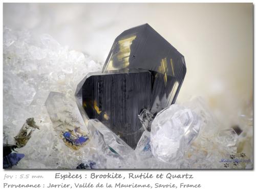 Brookite with Rutile and Quartz<br />Jarrier, Saint-Jean-de-Maurienne, Savoie, Auvergne-Rhône-Alpes, France<br />fov 5.5 mm<br /> (Author: ploum)