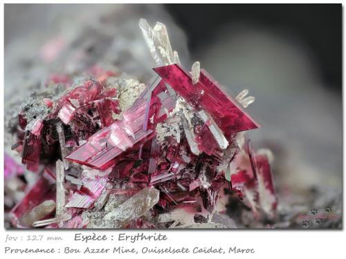 Erythrite with Quartz<br />Bou Azzer Mine, Bou Azzer mining district, Ouarzazate Province, Drâa-Tafilalet Region, Morocco<br />fov 12.7 mm<br /> (Author: ploum)