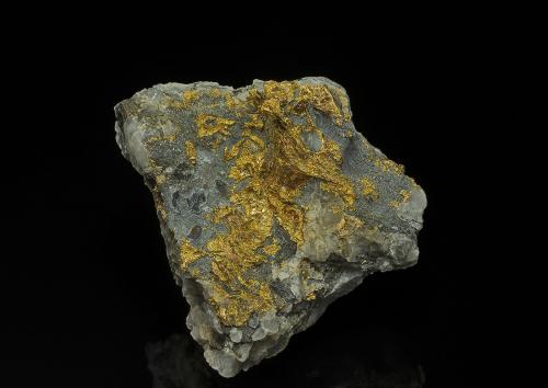 Gold<br />Witwatersrand field, Free State Province, South Africa<br />8.0 x 7.7 cm<br /> (Author: am mizunaka)