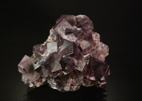 Fluorite<br />Lady Annabella Mine, Eastgate, Weardale, North Pennines Orefield, County Durham, England / United Kingdom<br /><br /> (Author: Michael Shaw)