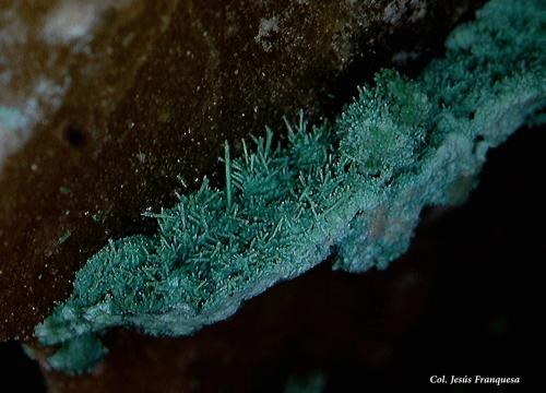 Cobre pseudomórfico de Malaquita.<br />El Pinar de Bédar, El Pinar, Bédar, Comarca Levante Almeriense, Almería, Andalucía, España<br />4´70 x 3´71 mm.<br /> (Autor: Jesus Franquesa Baucells)