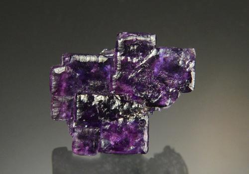 Fluorite<br />Ojuela Mine, Mapimí, Municipio Mapimí, Durango, Mexico<br />2.3 x 2.0 cm<br /> (Author: Michael Shaw)