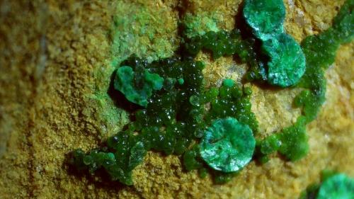 Tyrolite, Cuproadamite<br />Gratlspitze, Thierbach, Wildschönau, Kufstein District, Inn Valley, North Tyrol, Tyrol/Tirol, Austria<br />FoV ca. 1,5 x 0,8 cm<br /> (Author: Volkmar Stingl)