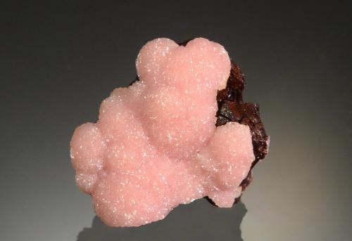 Rhodochrosite<br />Potosí Mine, Santo Domingo (Francisco Portillo), Santa Eulalia District, Municipio Aquiles Serdán, Chihuahua, Mexico<br />2.7 x 2.5 x 1.5 cm<br /> (Author: Michael Shaw)