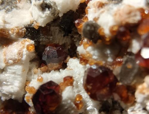 Spessartine, Quartz (variety smoky) and Microcline<br />Catas Spessartina Wushan, Tongbei, Yunxiao, Prefectura Zhangzhou, Provincia Fujian, China<br />close up<br /> (Author: Firmo Espinar)