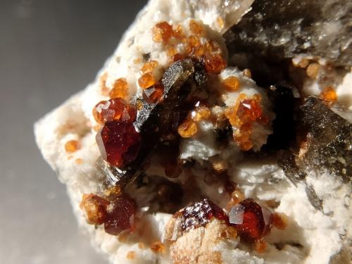 Spessartine, Quartz (variety smoky) and Microcline<br />Catas Spessartina Wushan, Tongbei, Yunxiao, Prefectura Zhangzhou, Provincia Fujian, China<br />detail<br /> (Author: Firmo Espinar)