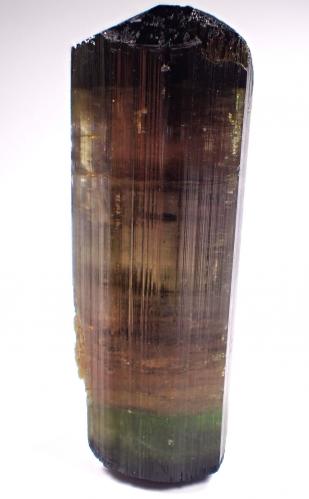 Elbaite (Tourmaline Group)<br />Himalaya Mine, Gem Hill, Mesa Grande District, San Diego County, California, USA<br />68 mm x 27 mm x 26 mm<br /> (Author: Don Lum)