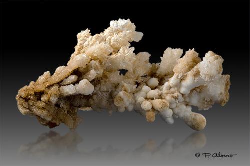 Aragonito coraloide<br />Canteras de Mármol, Macael, Comarca Valle del Almanzora, Almería, Andalucía, España<br />7,5 cm x 6,5 cm x 4 cm<br /> (Autor: Pere Alonso)