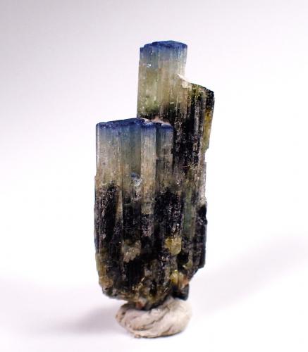 Elbaite (variety blue cap) Tourmaline Group<br />Mwajanga pegmatite, Merelani Hills, Lelatema Mountains, Simanjiro District, Manyara Region, Tanzania<br />45 mm x 20 mm x 14 mm<br /> (Author: Don Lum)