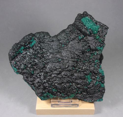 Heterogenita con Crisocola<br />Mina L'Etoile du Congo, Lubumbashi (Elizabethville), Cinturón de cobre de Katanga, Haut-Katanga (Shaba), República Democrática del Congo (Zaire)<br />13,9 x 13 x 2,5 cm.  311 g.<br /> (Autor: J. G. Alcolea)