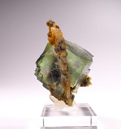 Fluorite, Chalcedony<br />Choir area, Province Govisümber, Mongolia<br />43 mm x 42 mm x 35 mm<br /> (Author: Don Lum)