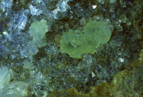 Prehnite, Quartz<br />Ranalt, Neustift im Stubaital, Stubai Valley, Distrito Innsbruck-Land, Tirol Norte, Tirol, Austria<br />FoV 1,4 x 1,0 cm<br /> (Author: Volkmar Stingl)