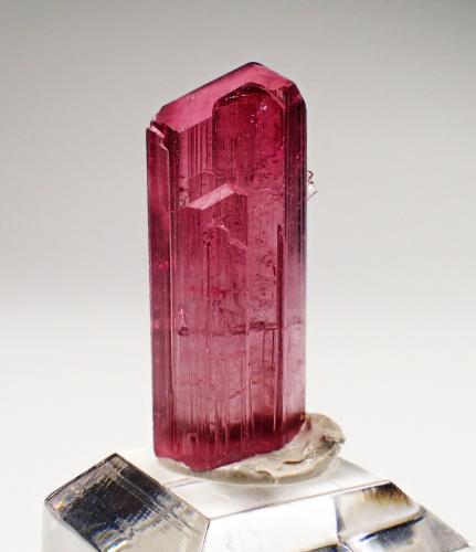 Elbaite (Tourmaline Group)<br />Paprok, Kamdesh District, Nuristan Province, Afghanistan<br />27 mm x 12 mm x 10 mm<br /> (Author: Don Lum)