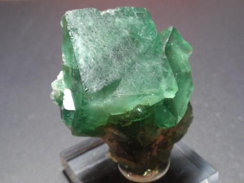 Fluorita<br />Zona Mandronarivo, Distrito Beroroha, Región Atsimo-Andrefana, Madagascar<br />45x60 mm<br /> (Autor: Ignacio)
