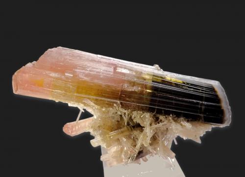 Elbaite<br />Stak Nala, Montes Haramosh, Distrito Skardu, Gilgit-Baltistan (Áreas del Norte), Paquistán<br />80 mm x 40 mm. Largest crystal size: 80 mm. Mass (weight): 74 g<br /> (Author: Carles Millan)