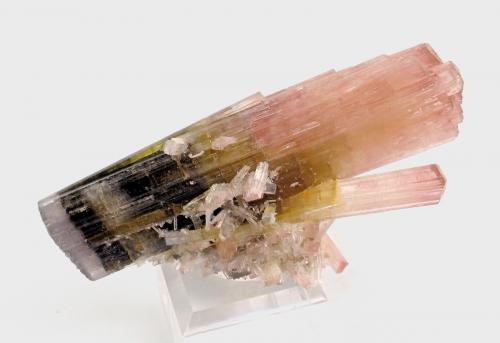 Elbaite<br />Stak Nala, Montes Haramosh, Distrito Skardu, Gilgit-Baltistan (Áreas del Norte), Paquistán<br />80 mm x 40 mm. Largest Crystal Size: 80 mm. Mass (weight): 74 g<br /> (Author: Carles Millan)