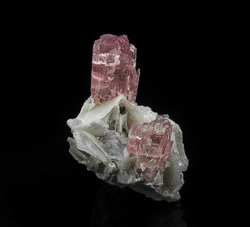 Elbaite<br />Paprok, Kamdesh District, Nuristan Province, Afghanistan<br />4.5 x 2.9 cm<br /> (Author: am mizunaka)