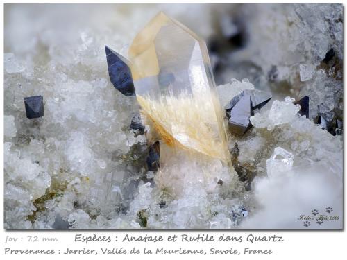 Quartz, Anatase and Rutile<br />Jarrier, Saint-Jean-de-Maurienne, Savoie, Auvergne-Rhône-Alpes, France<br />fov 7.2 mm<br /> (Author: ploum)