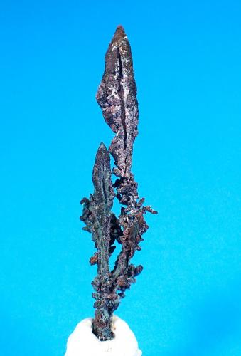 Native Copper<br />Ray Mines, Scott Mountain area, Mineral Creek District, Dripping Spring Mountains, Pinal County, Arizona, USA<br />71 mm x 17 mm<br /> (Author: Don Lum)