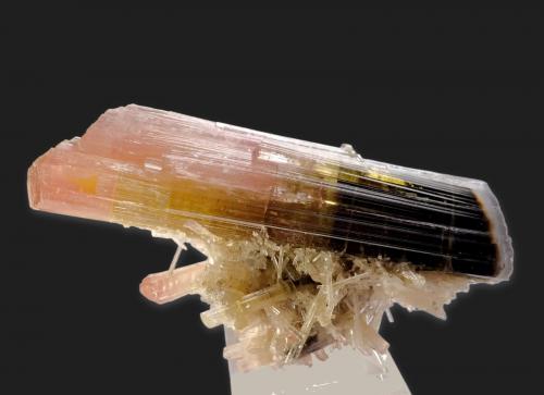 Elbaíta<br />Stak Nala, Haramosh Mountains, Skardu District, Gilgit-Baltistan (Northern Areas), Pakistan<br />80 mm x 40 mm. Cristal principal: 80 mm. Masa: 74 g.<br /> (Autor: Carles Millan)