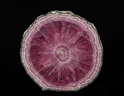 Rhodochrosite<br />Capillitas Mine, Andalgalá Department, Catamarca, Argentina<br />82 x 82 x 5 mm<br /> (Author: am mizunaka)