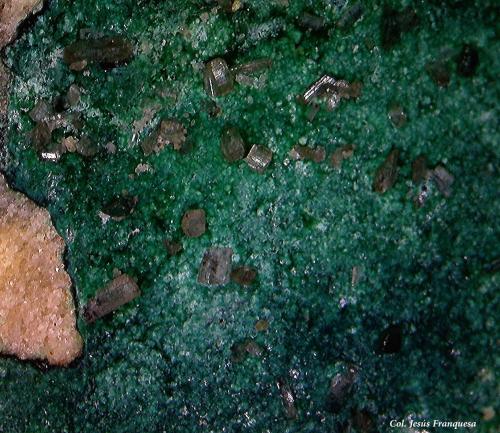 Cobre pseudo. de Malaquita y Cerusita.<br />El Pinar de Bédar, El Pinar, Bédar, Comarca Levante Almeriense, Almería, Andalucía, España<br />5´79 x 4´83 mm.<br /> (Autor: Jesus Franquesa Baucells)