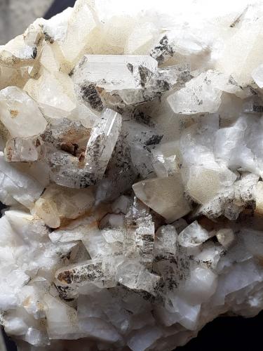 Albite, Calcite, Siderite<br />Kluppen Valley, Schmirn, Innsbruck-Land District, North Tyrol, Tyrol/Tirol, Austria<br />12 x 9 cm<br /> (Author: Volkmar Stingl)