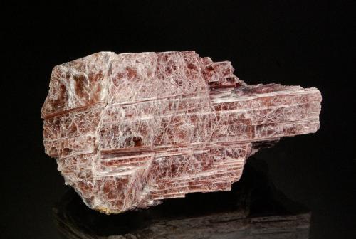 Polylithionite-Trilithionite series<br />Mina Brown Derby, Distrito Quartz Creek Pegmatite, Condado Gunnison, Colorado, USA<br />9.4 x 5.8 x 4.7 cm<br /> (Author: Michael Shaw)