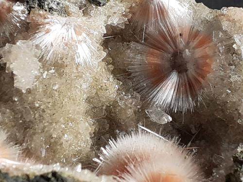 Mesolite on Thomsonite<br />Khadakwani, Khargone District, Madhya Pradesh, India<br />6 x 4,5 cm<br /> (Author: Volkmar Stingl)