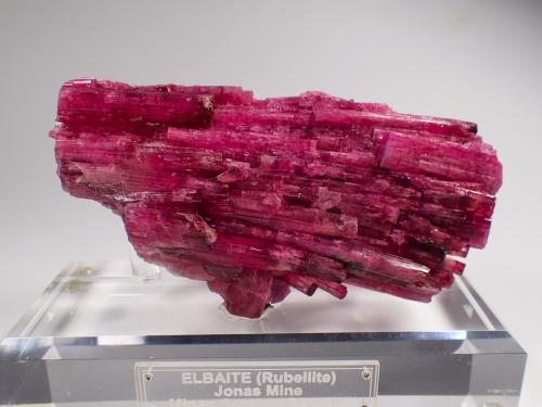 Elbaite (variety rubellite), Tourmaline Group<br />Itatiaia, Conselheiro Pena, Vale do Rio Doce, Minas Gerais, Brazil<br />131 mm x 73 mm x 30 mm<br /> (Author: Don Lum)