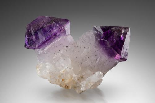 Quartz (variety amethyst)<br />Andilamena, Andilamena District, Toamasina Province (Tamatave), Alaotra-Mangoro Region, Madagascar<br />5 x 3 x 4 cm / main crystal: 4.5 cm<br /> (Author: MIM Museum)
