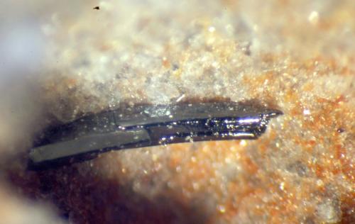 Pseudobrookita<br />Cantera Puy de Ténuzet, Saint-Ours-les-Roches, Riom, Departamento Puy-de-Dôme, Auvergne-Rhône-Alpes, Francia<br />< 1 mm<br /> (Autor: José Luis Zamora)