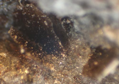 Fluoroflogopita<br />Puy de Ténuzet Quarry, Saint-Ours-les-Roches, Riom, Puy-de-Dôme Department, Auvergne-Rhône-Alpes, France<br />< 1 mm<br /> (Autor: José Luis Zamora)